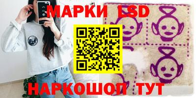 стафф Новодвинск