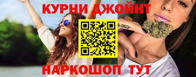 гидра Новозыбков