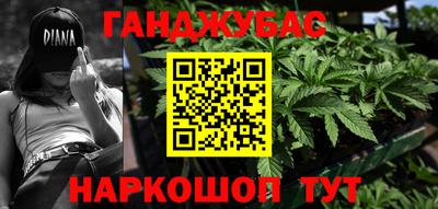 гидра Новозыбков