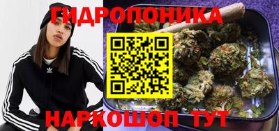 стафф Новодвинск