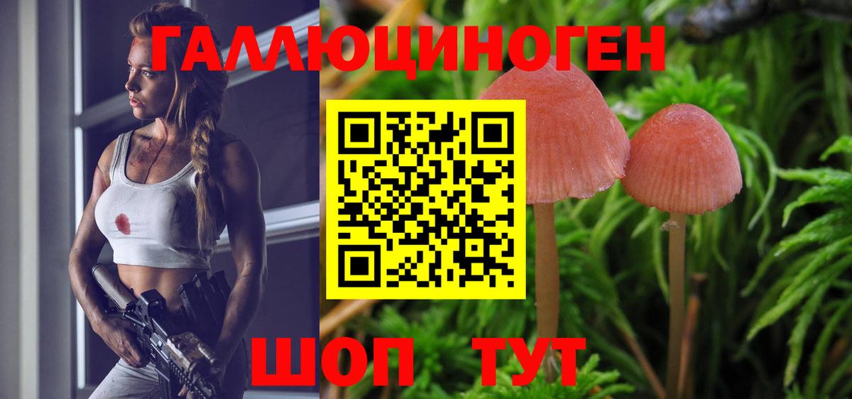 Галлюциногенные грибы ЛСД Стрежевой
