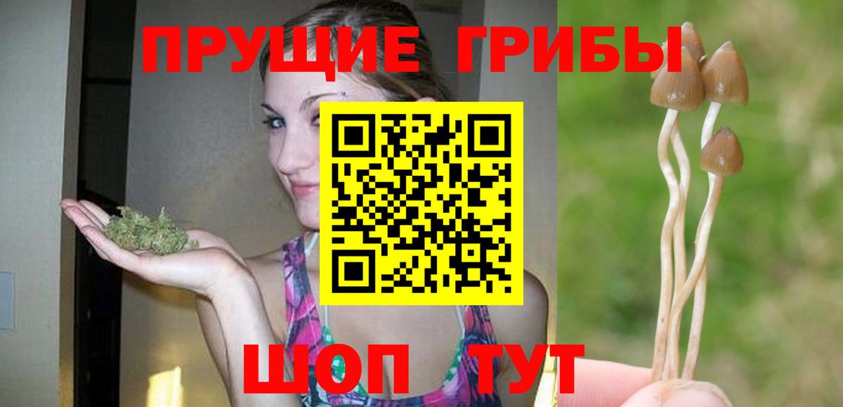 Стрежевой  Галлюциногенные грибы Magic Shrooms  Галлюциногенные грибы Psilocybe  Вход с VPN 